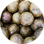 Natural Monk Fruit